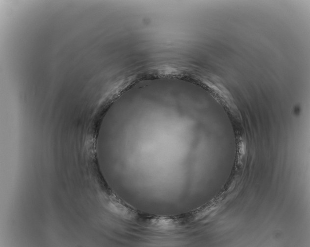 X0000091070419200708131157