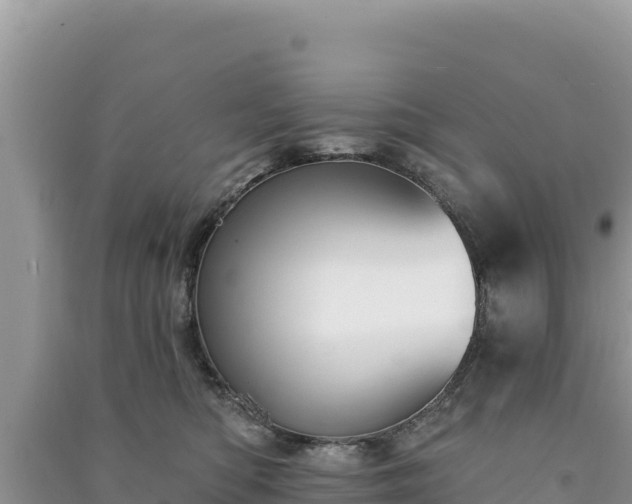 X0000091070422200708131157
