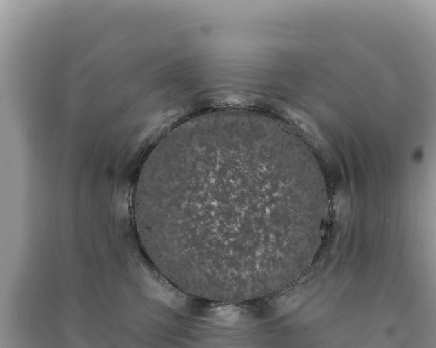 X0000091070423200708131157