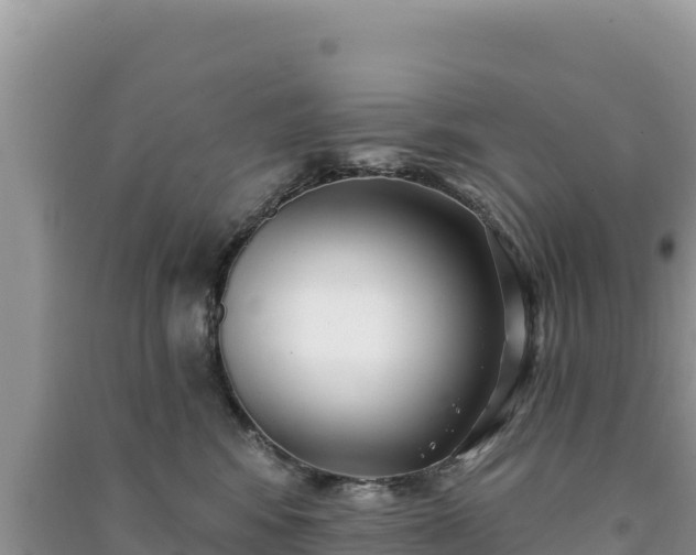 X0000091070424200708131157