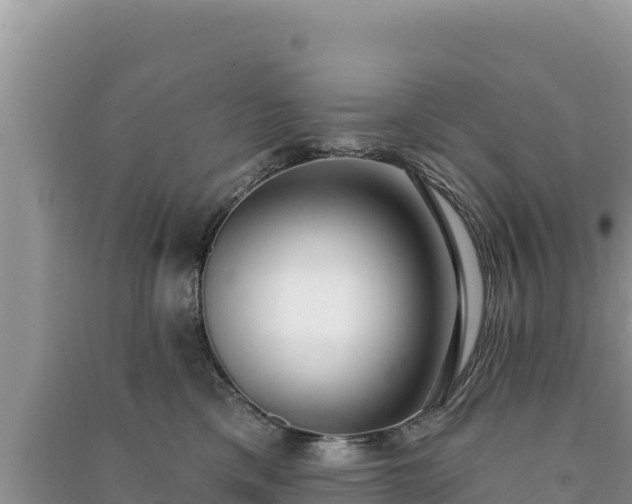 X0000091070425200708131157