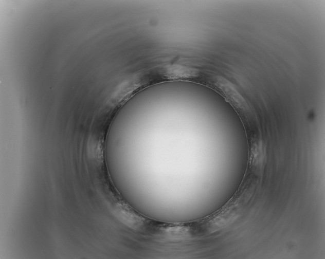 X0000091070426200708131157