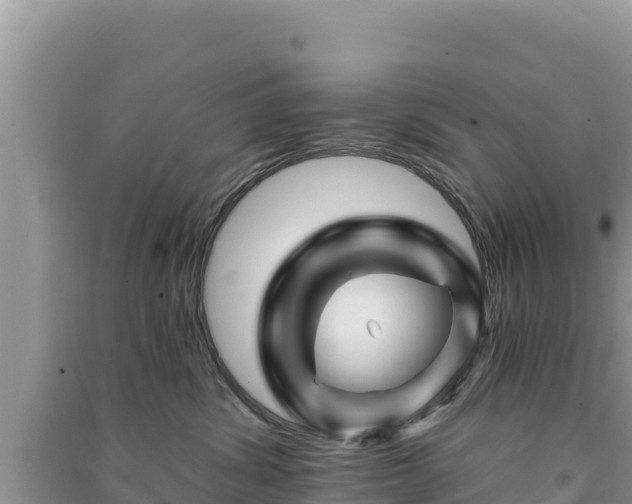 X0000091070428200708131157