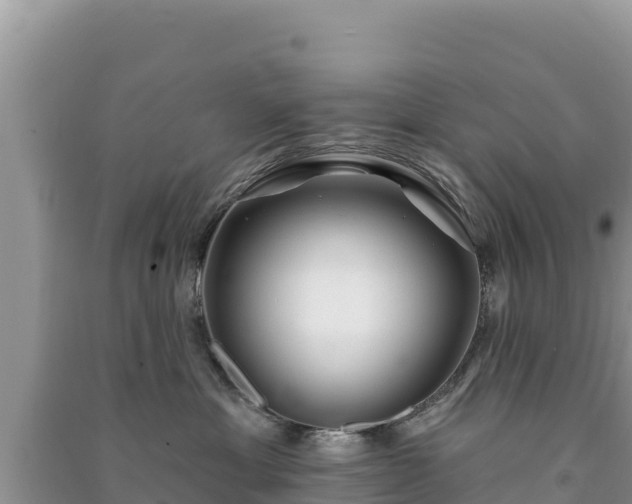 X0000091070429200708131157