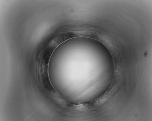 X0000091070430200708131157
