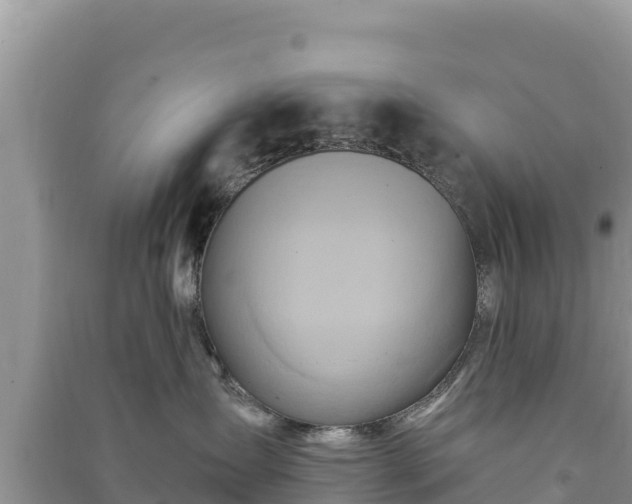 X0000091070431200708131157
