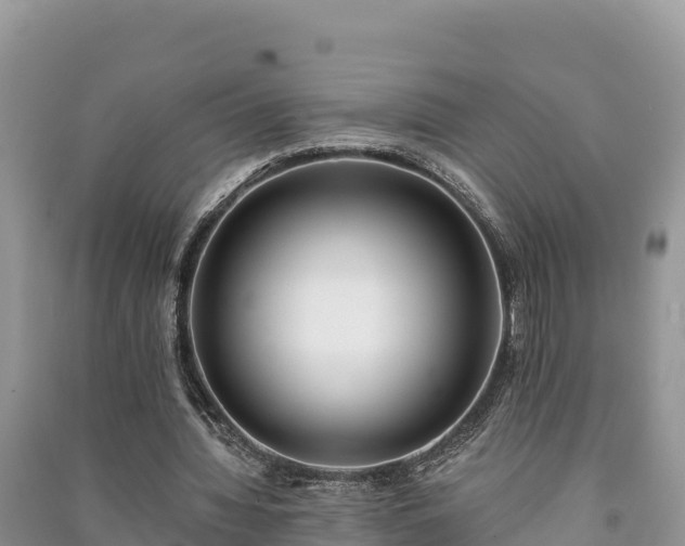 X0000091070436200708131156