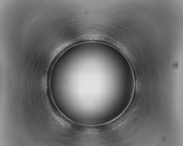 X0000091070438200708131156