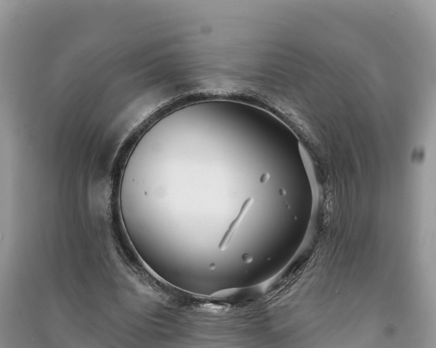 X0000091070440200708131156