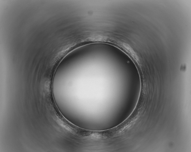 X0000091070441200708131156