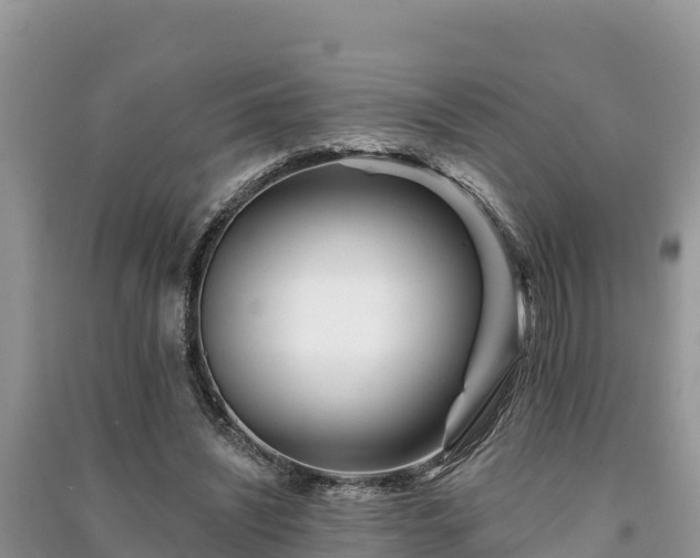 X0000091070444200708131156