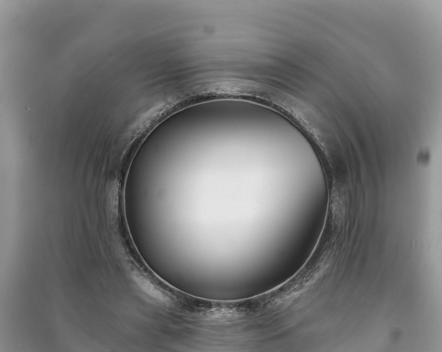 X0000091070445200708131156