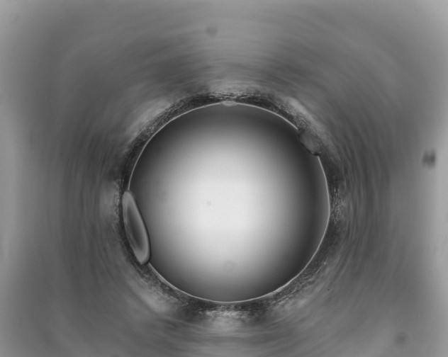 X0000091070448200708131156
