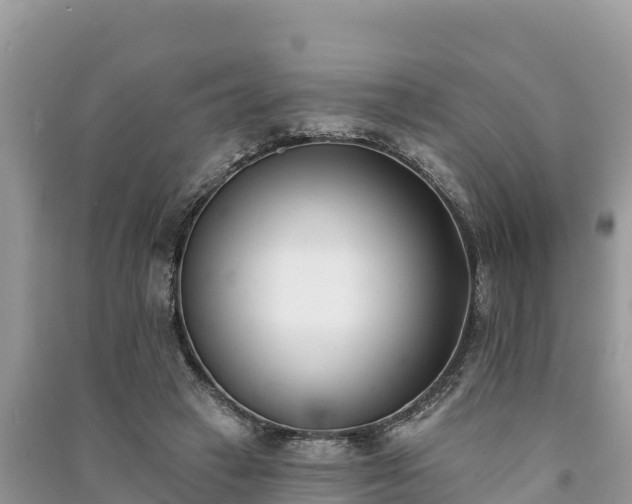 X0000091070449200708131156