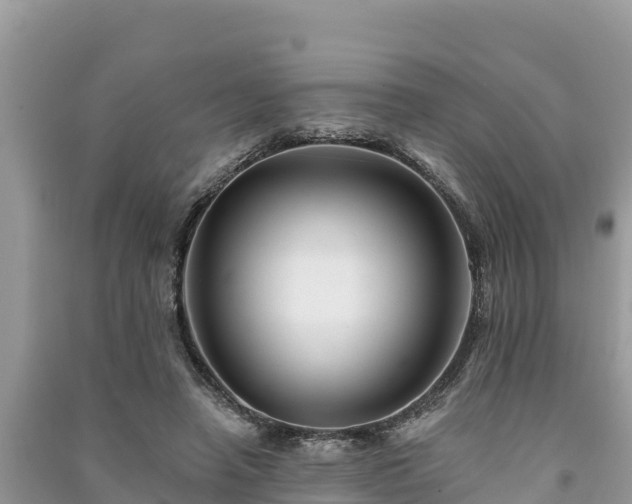 X0000091070450200708131156