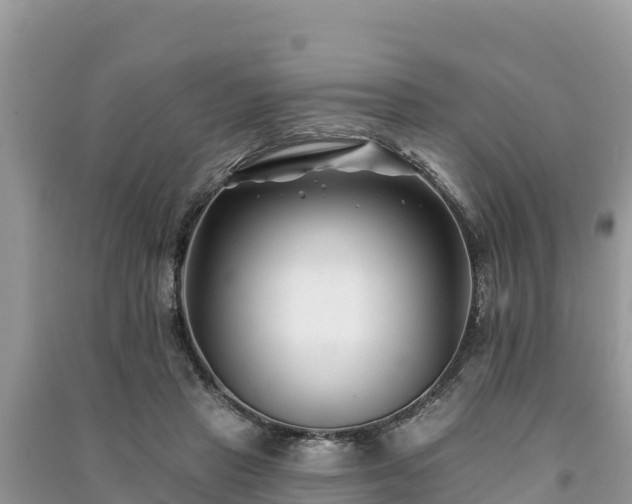 X0000091070453200708131156
