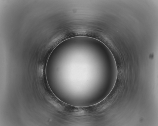 X0000091070454200708131156