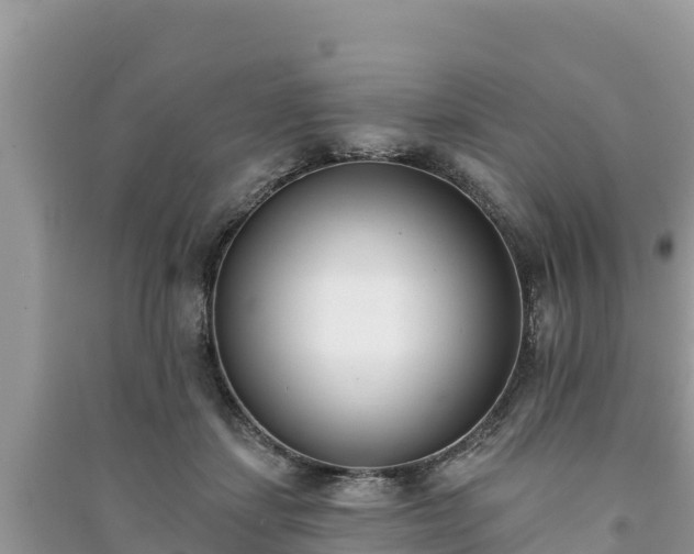 X0000091070459200708131156