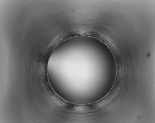 X0000091070461200708131156
