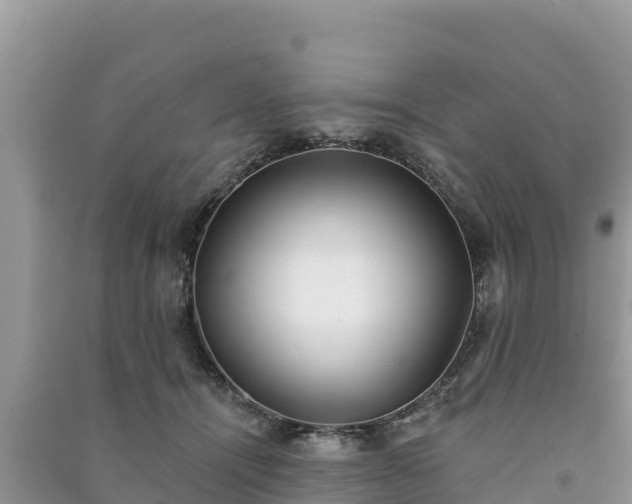 X0000091070464200708131156