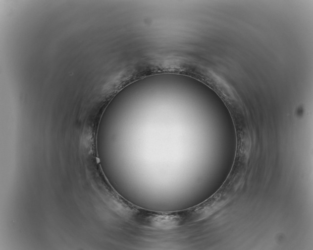 X0000091070465200708131156