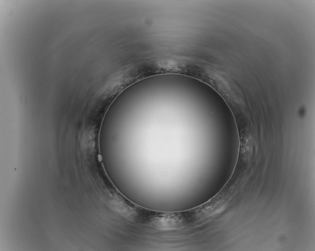 X0000091070466200708131156