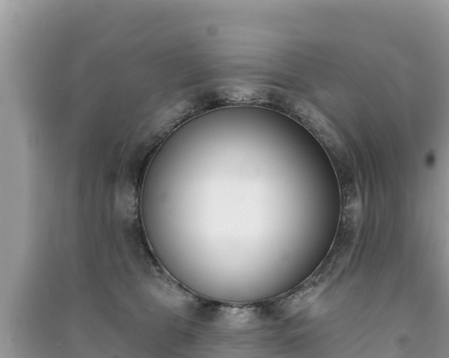 X0000091070469200708131156