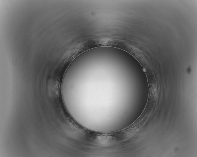 X0000091070470200708131156