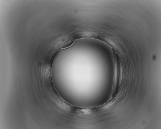 X0000091070478200708131157