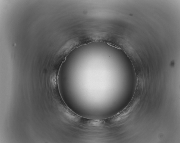 X0000091070479200708131157