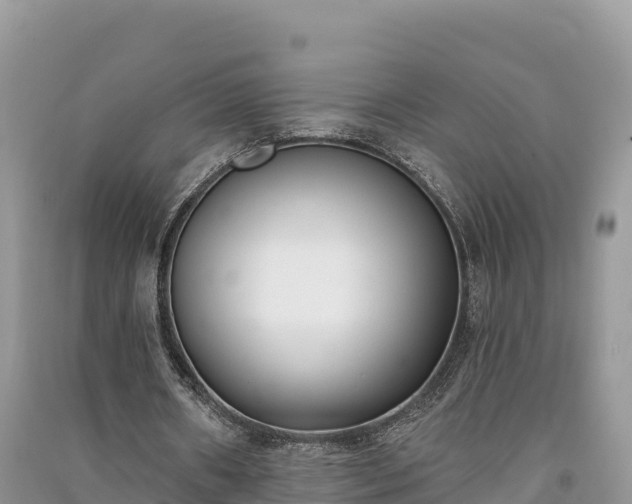 X0000091070482200708131156