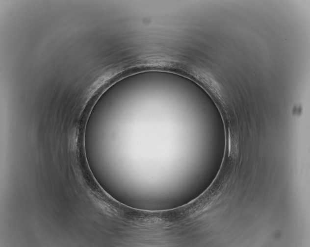 X0000091070483200708131156