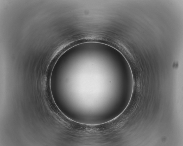 X0000091070484200708131156