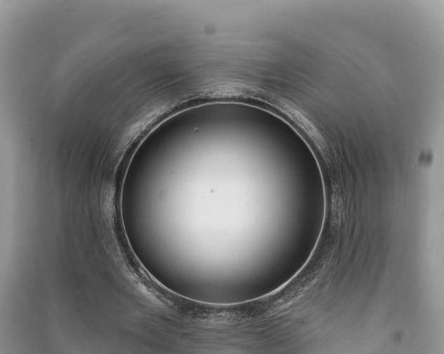 X0000091070485200708131156