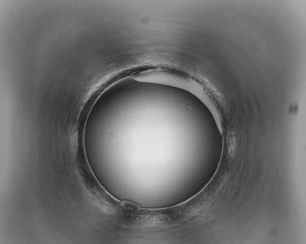 X0000091070488200708131156