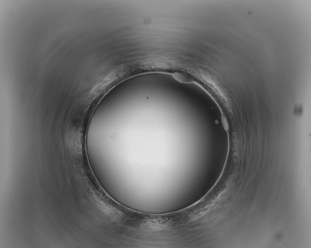 X0000091070489200708131156