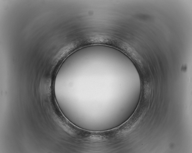 X0000091070490200708131156