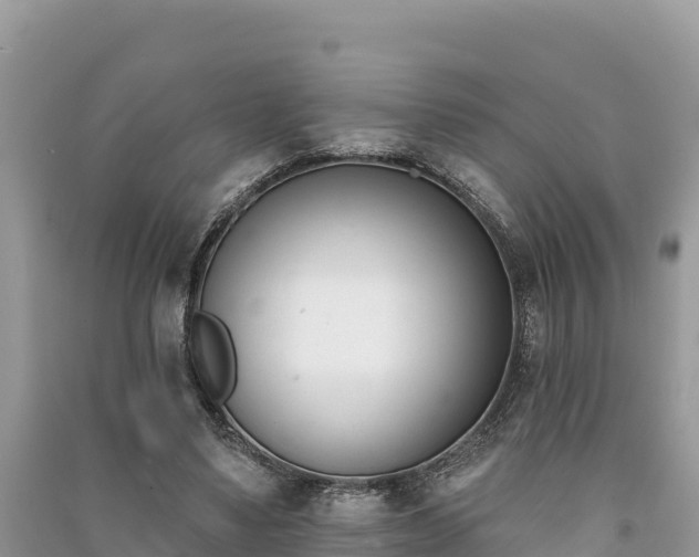 X0000091070491200708131156