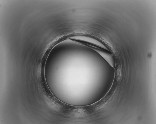 X0000091070492200708131156
