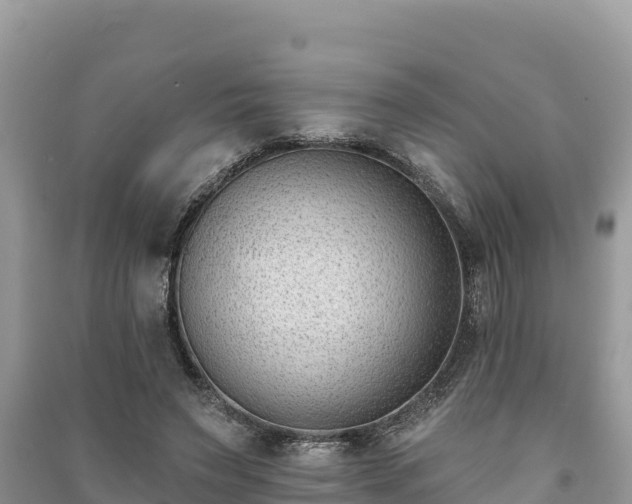 X0000091070495200708131156