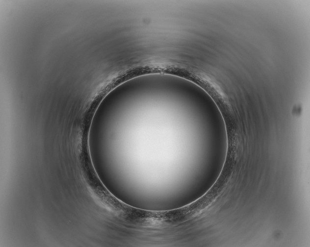 X0000091070496200708131156