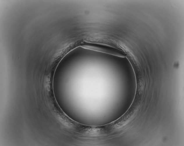 X0000091070497200708131156