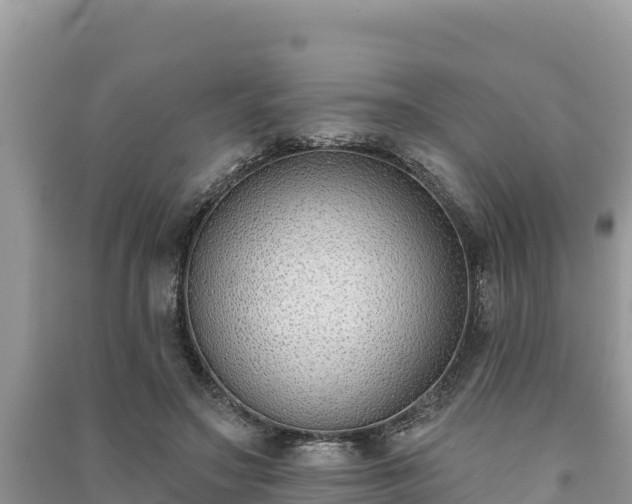 X0000091070499200708131156