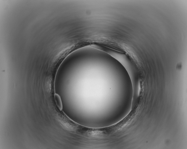 X0000091070501200708131156