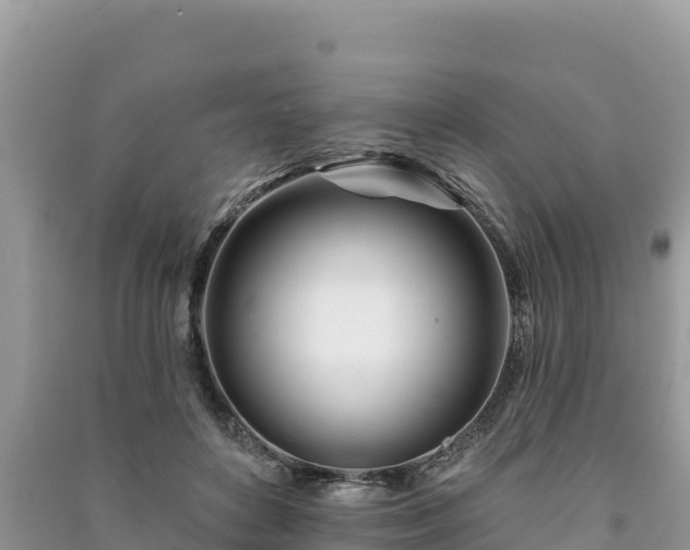 X0000091070504200708131156