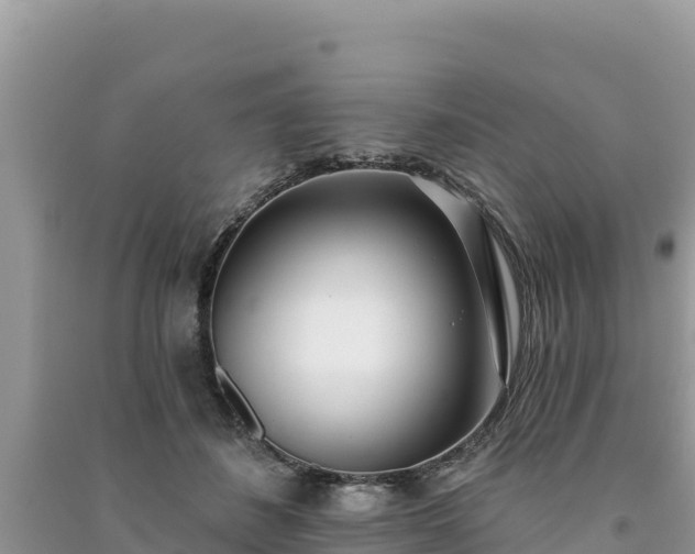 X0000091070508200708131156