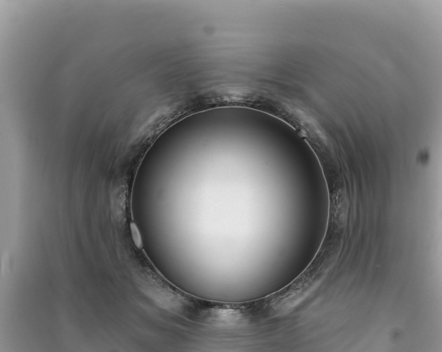 X0000091070509200708131156