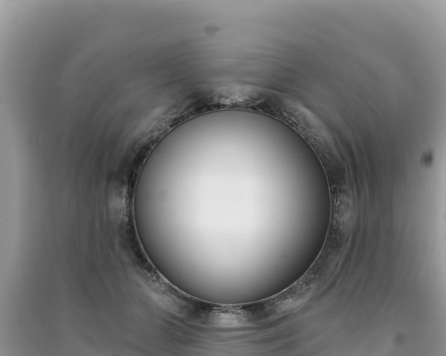 X0000091070510200708131155
