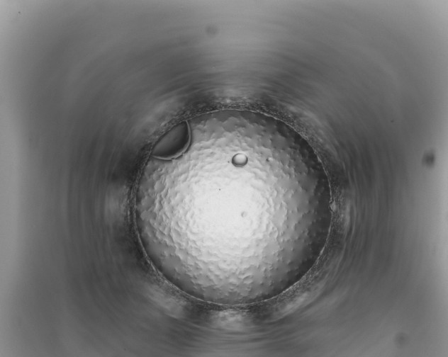 X0000091070511200708131155