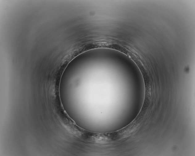 X0000091070512200708131155